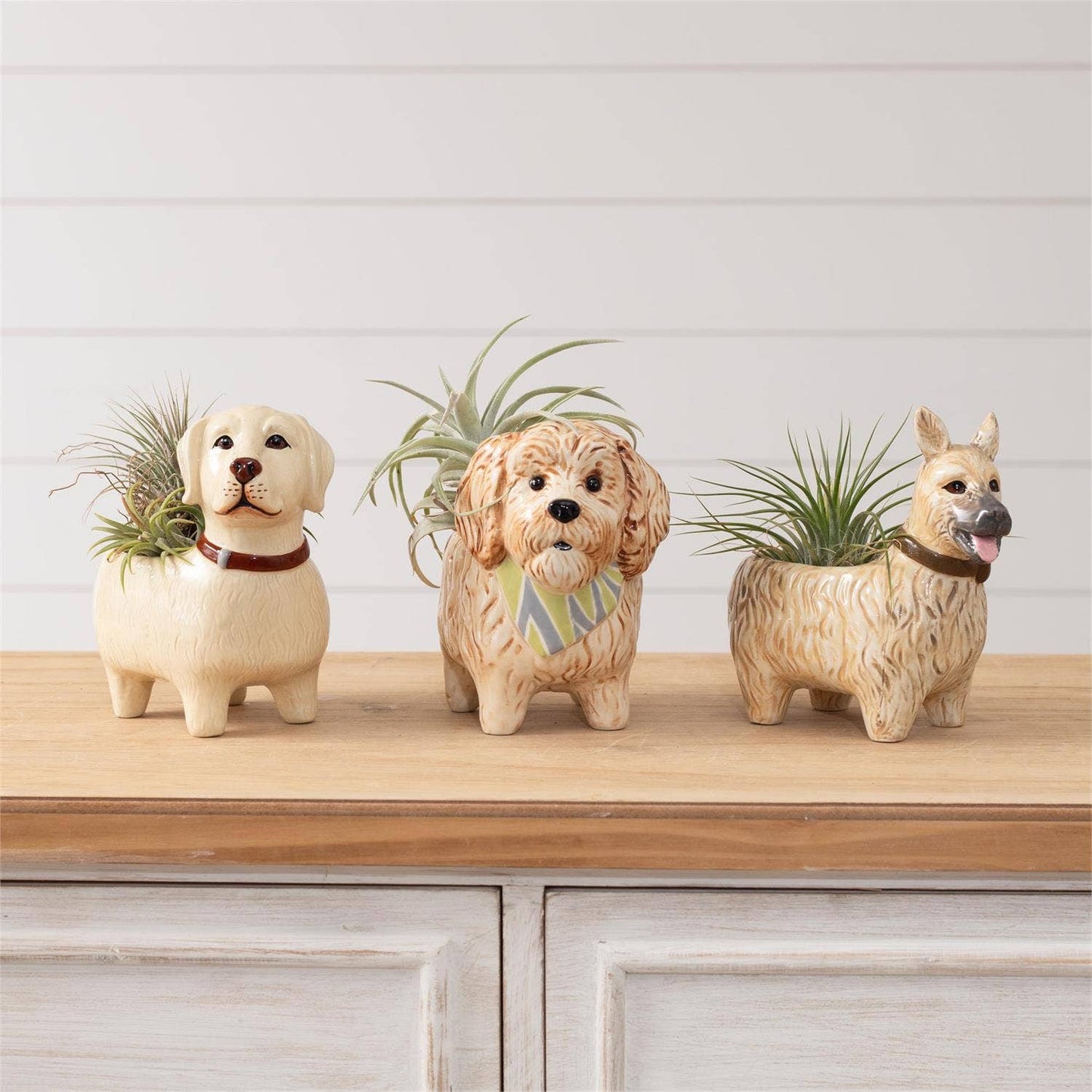 Doggies Pot