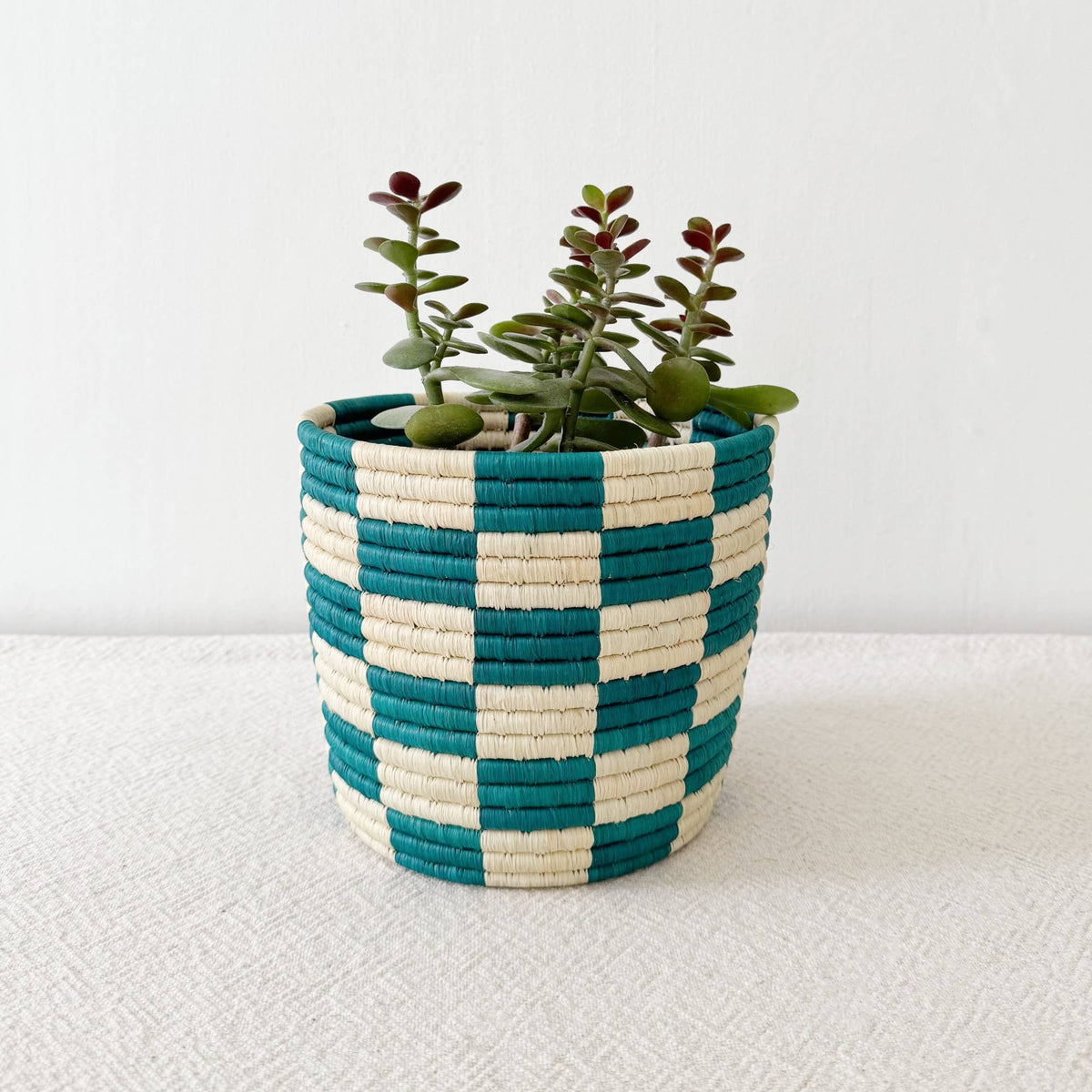 Teal Storage Plant Basket: Mutua