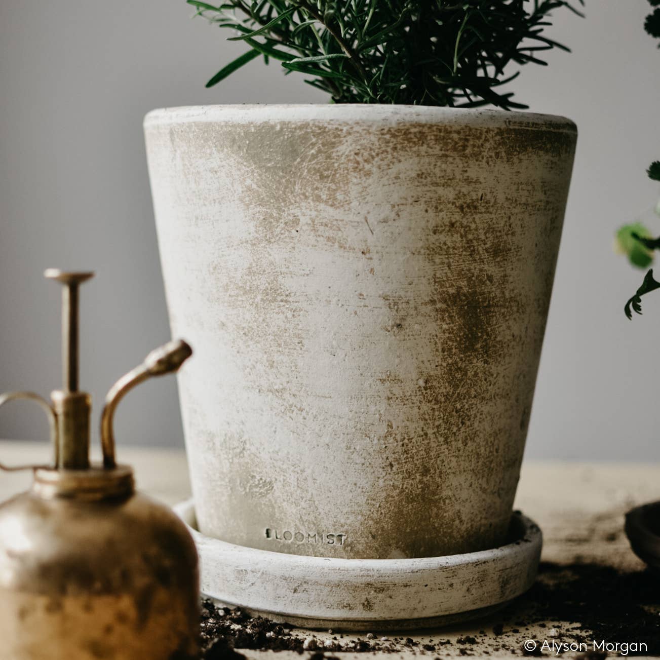 Basic Planter, White Patina: Medium