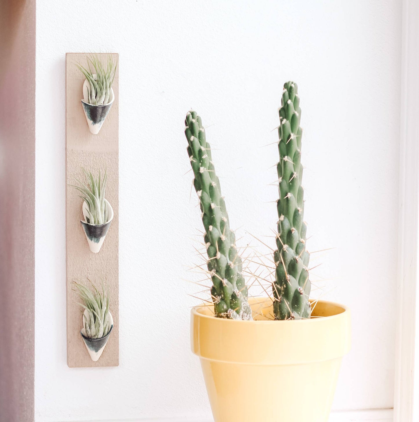 Ceramic Wall Planter - Triple