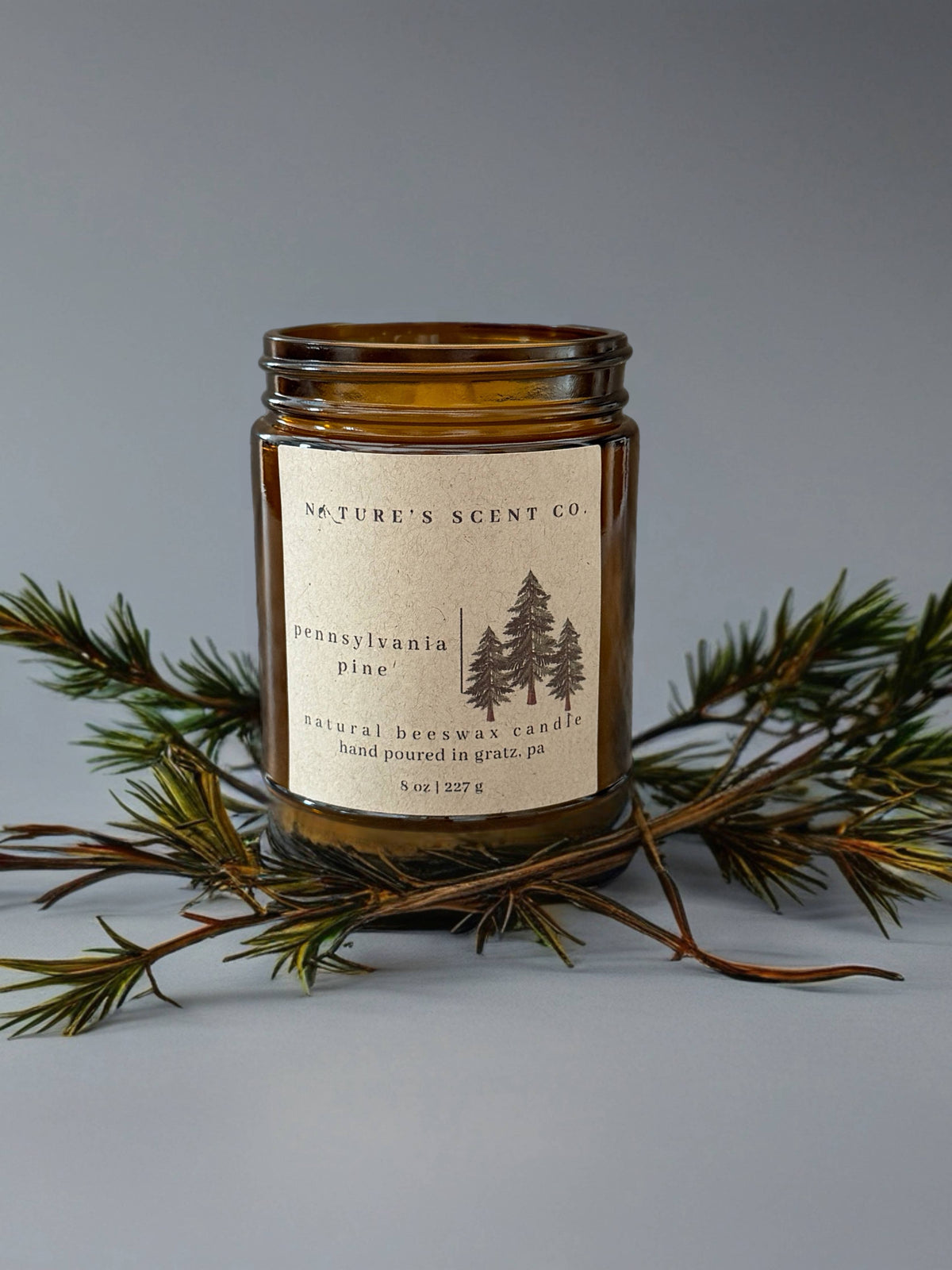 Pennsylvania Pine | Beeswax Candle | Wood Wick | Gift