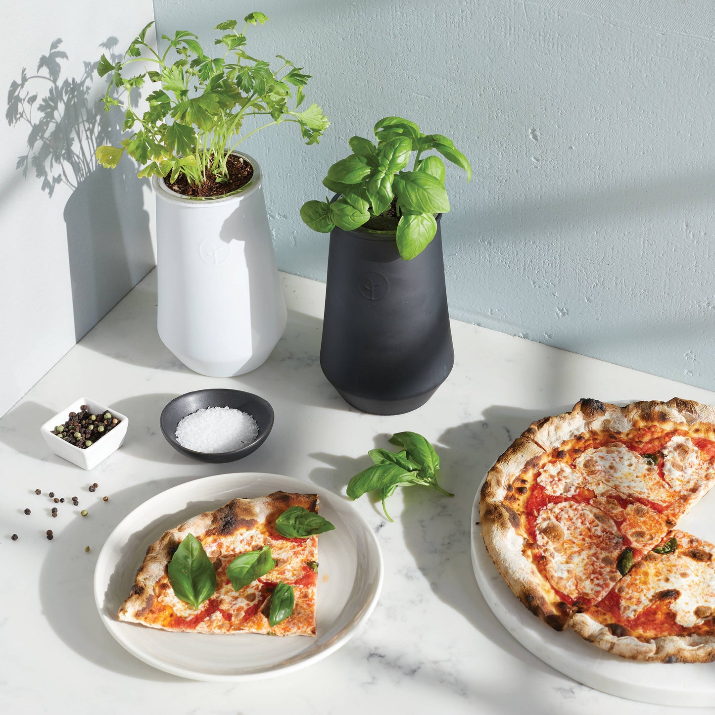 Tapered Tumbler: Mint