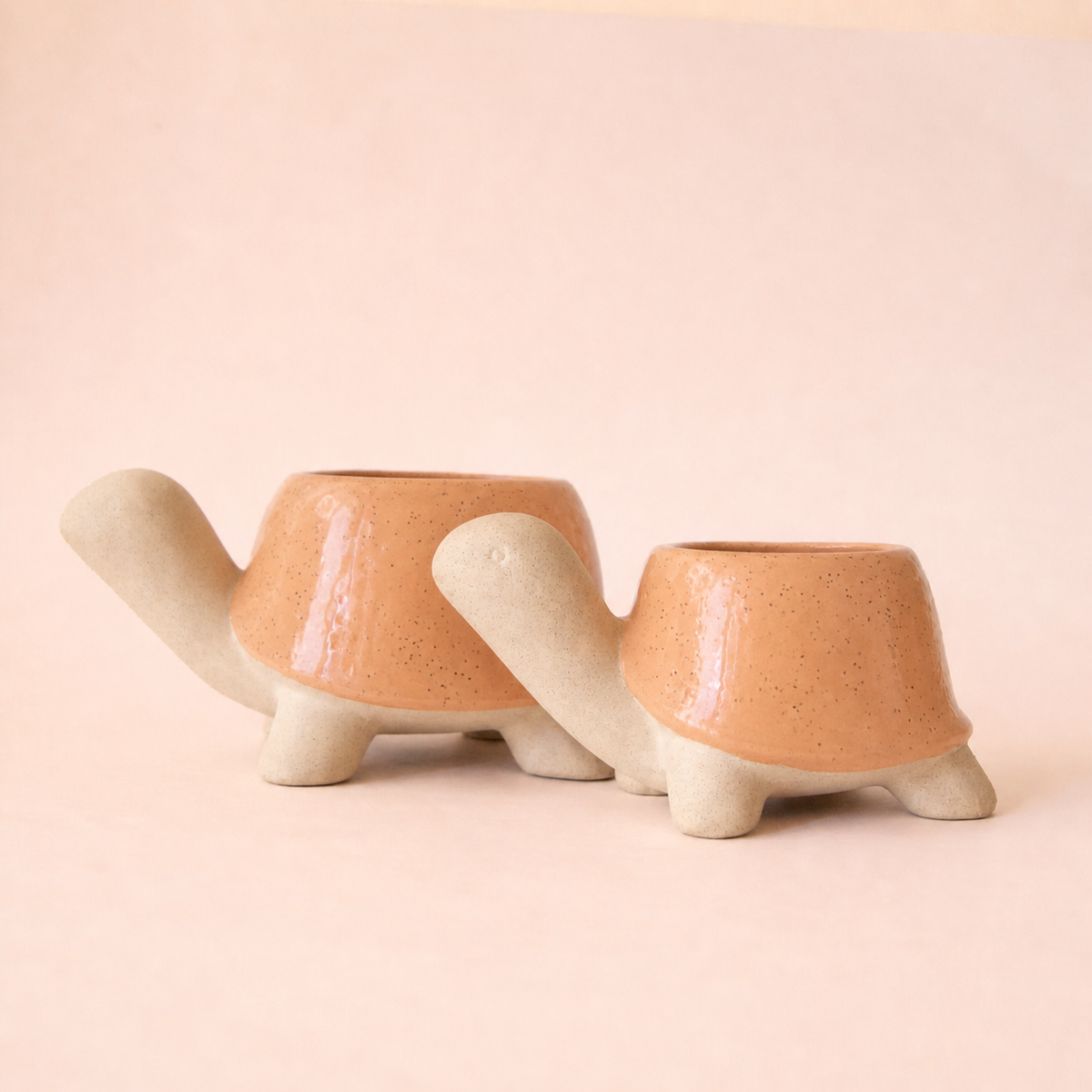 Turtle Planter | Sunset