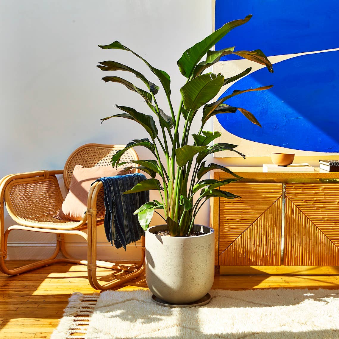 Wythe Planters