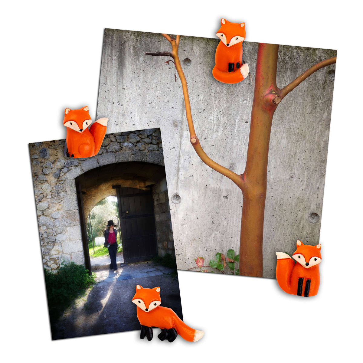 FOX Magnets