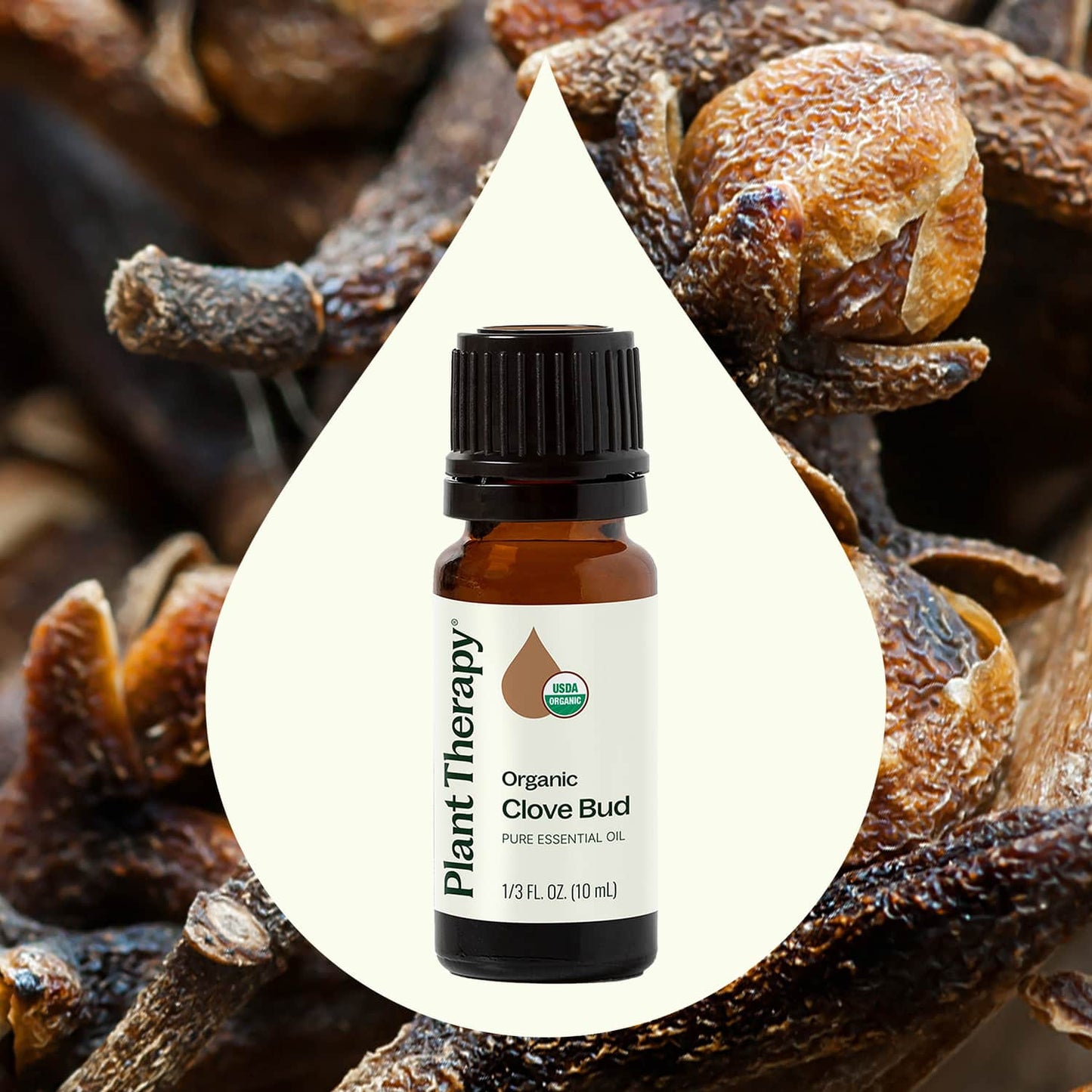 Organic Clove Bud Essential Oil 10 mL