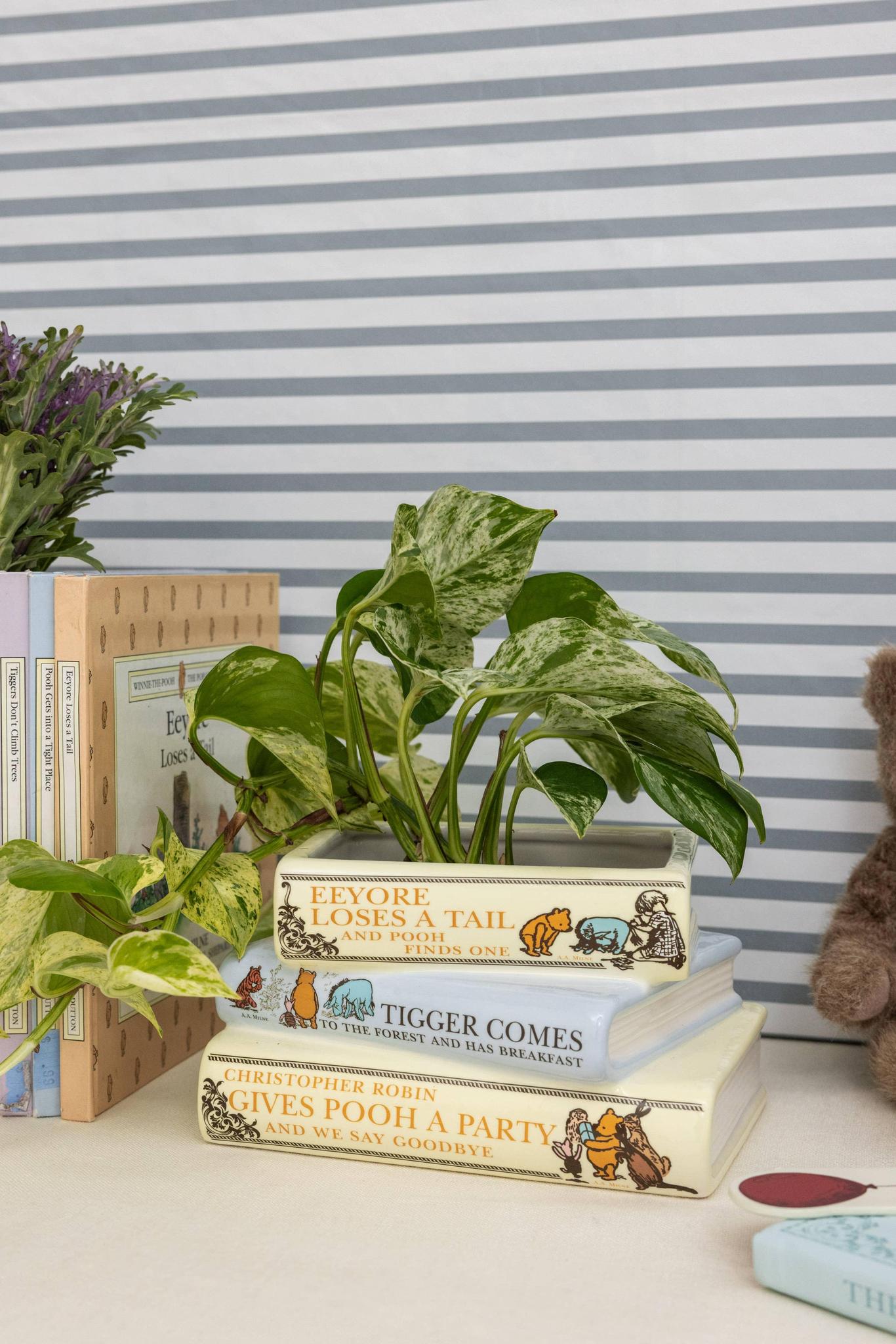Stacked Books Planter
