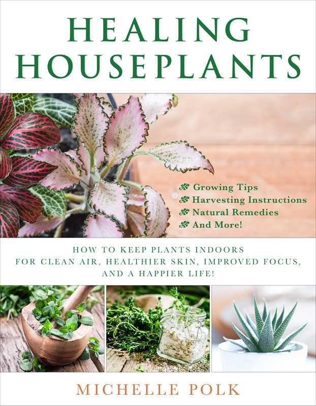 Healing Houseplants by Michelle Polk