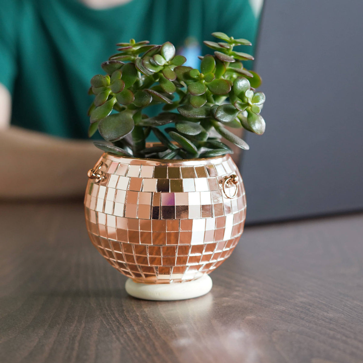 Rose Gold Disco Ball Hanging Planter  4-inch