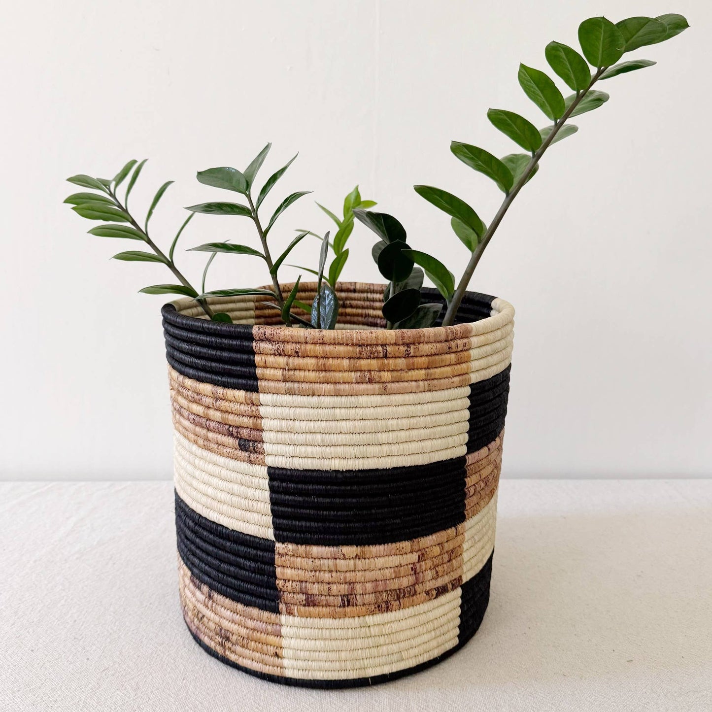 Storage Plant Basket: Zindiro: 12" x 12"