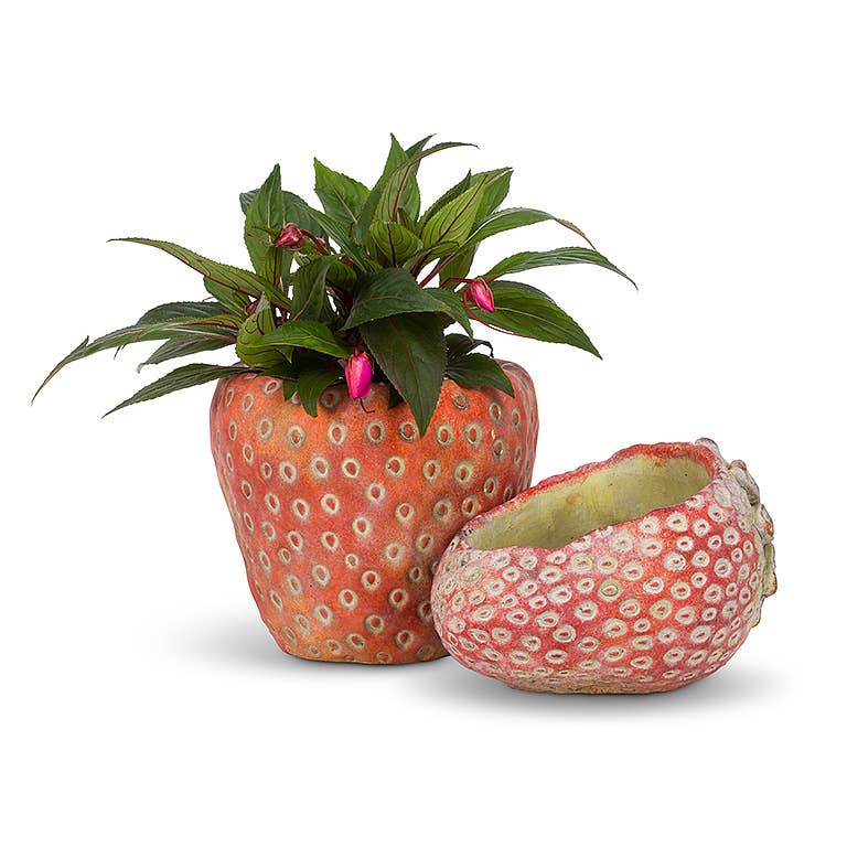 Small Strawberry Planter