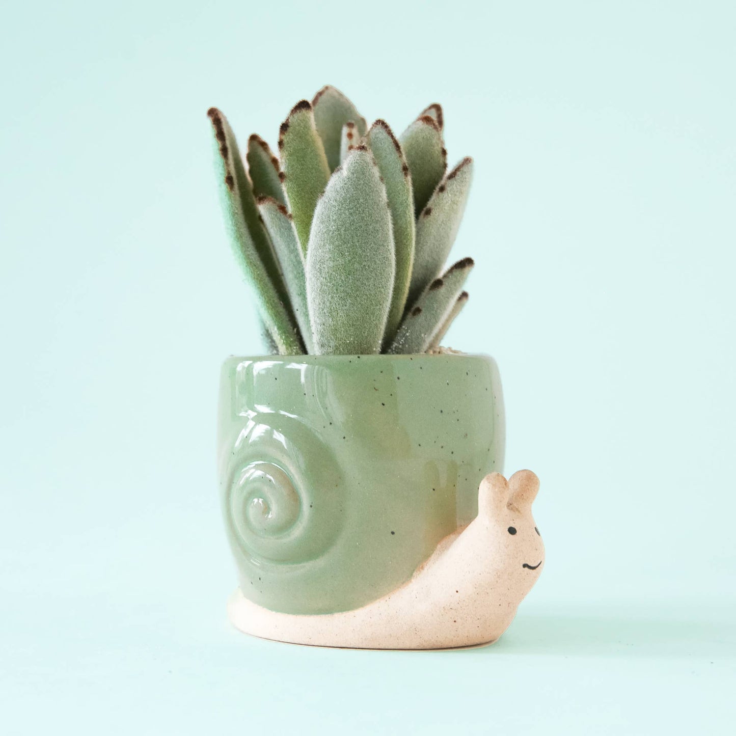 Snail Planter | Lagoon: S