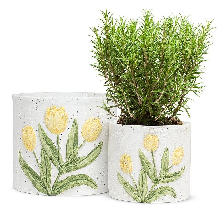 Tulip Planter