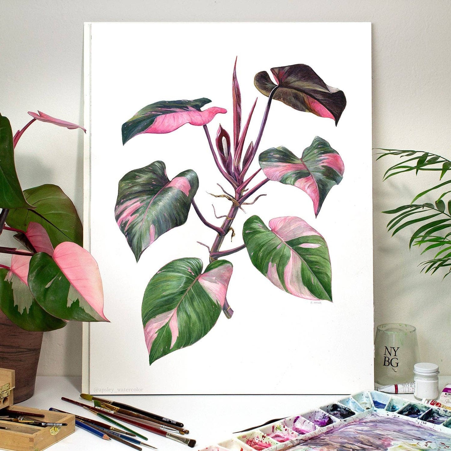 Philodendron 'Pink Princess' Print: 8"x10"