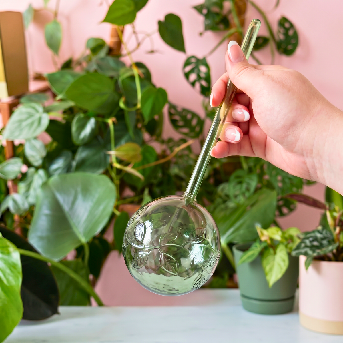 Self-Watering Globe Green Vine - Case of 6