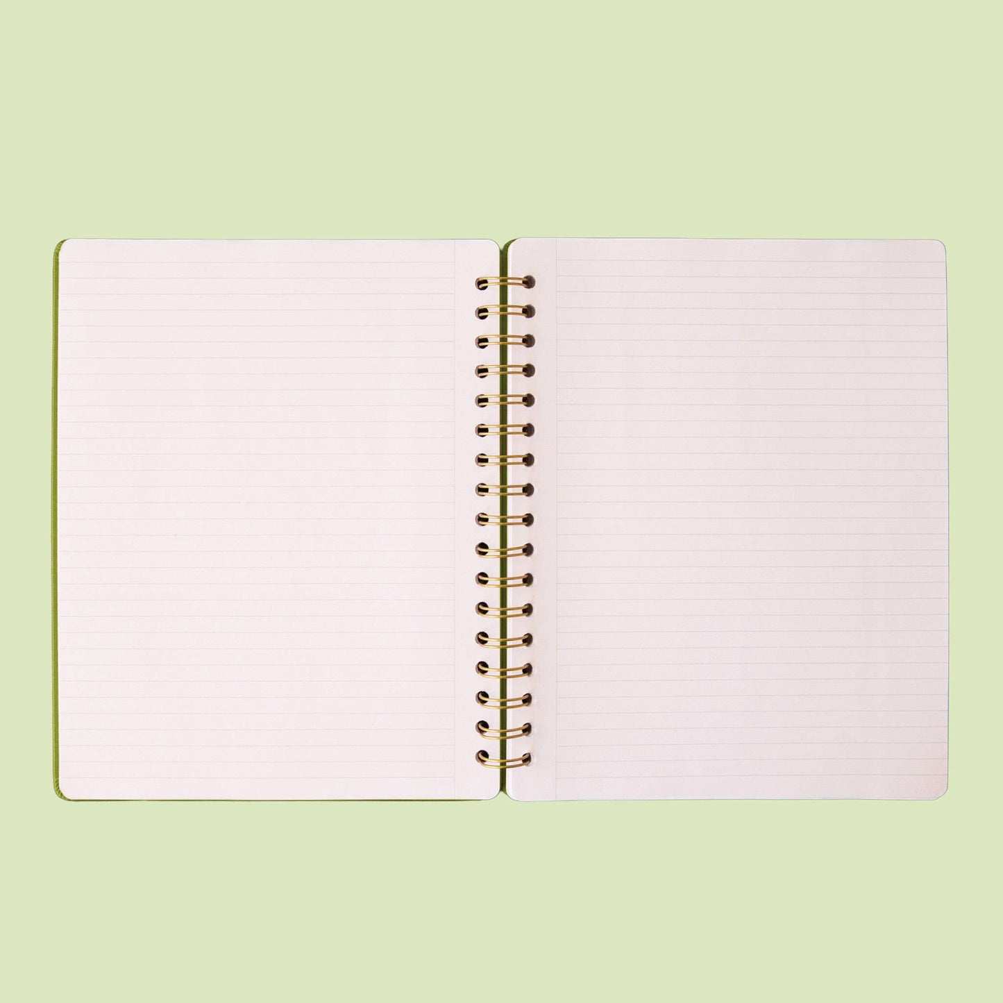 Green Monstera Journal  | Lined Notebook
