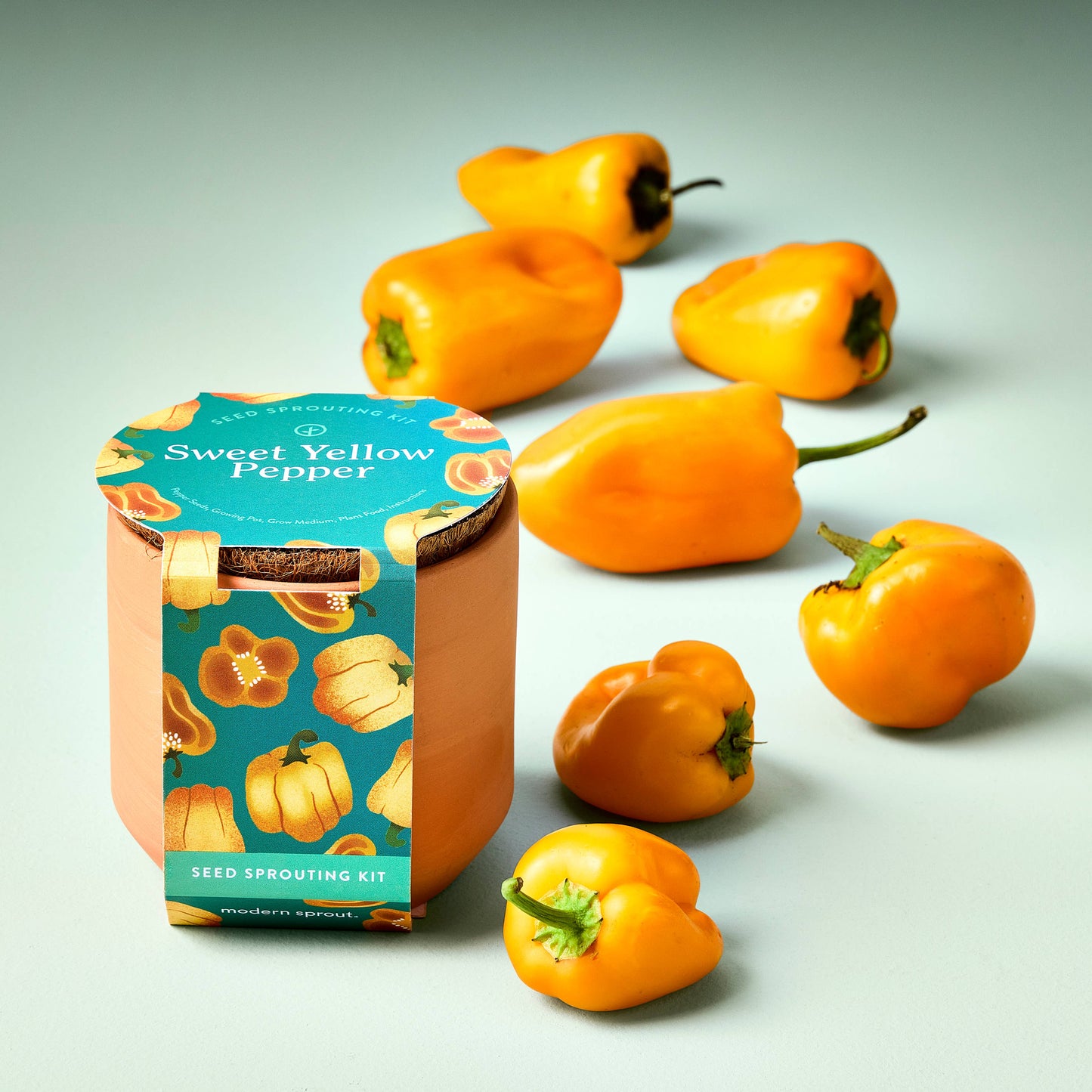 Tiny Terracotta Garden Kit: Sweet Yellow Pepper