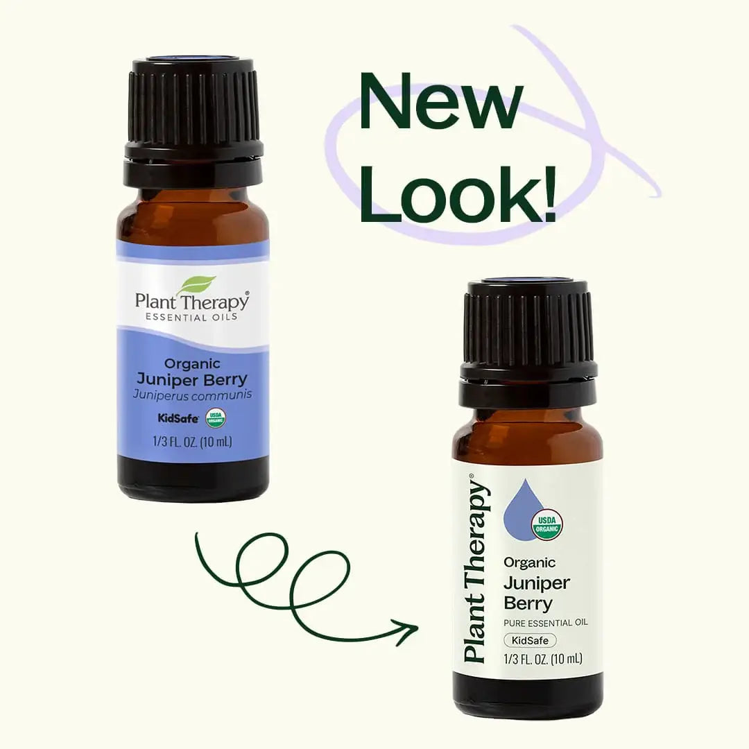 Organic Juniper Berry Essential Oil 10 mL
