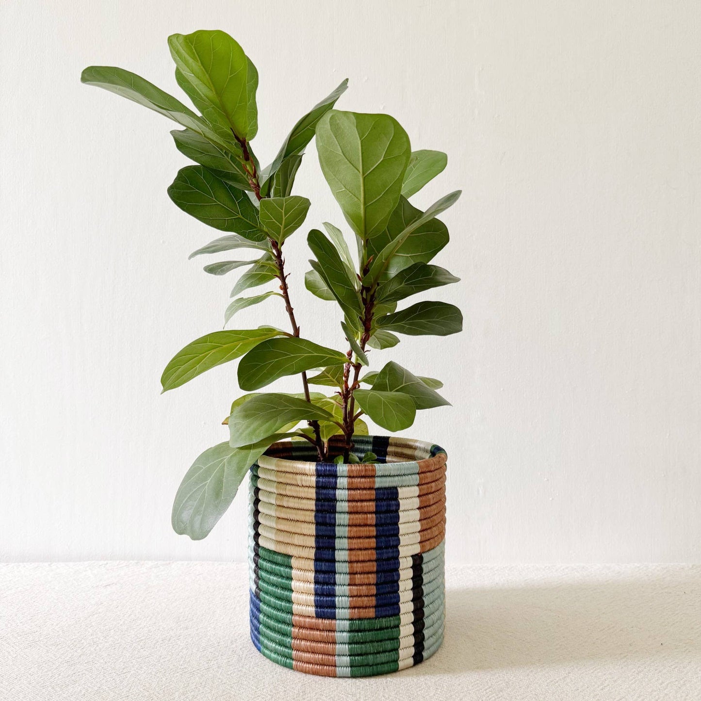 Shonga Storage Plant Basket