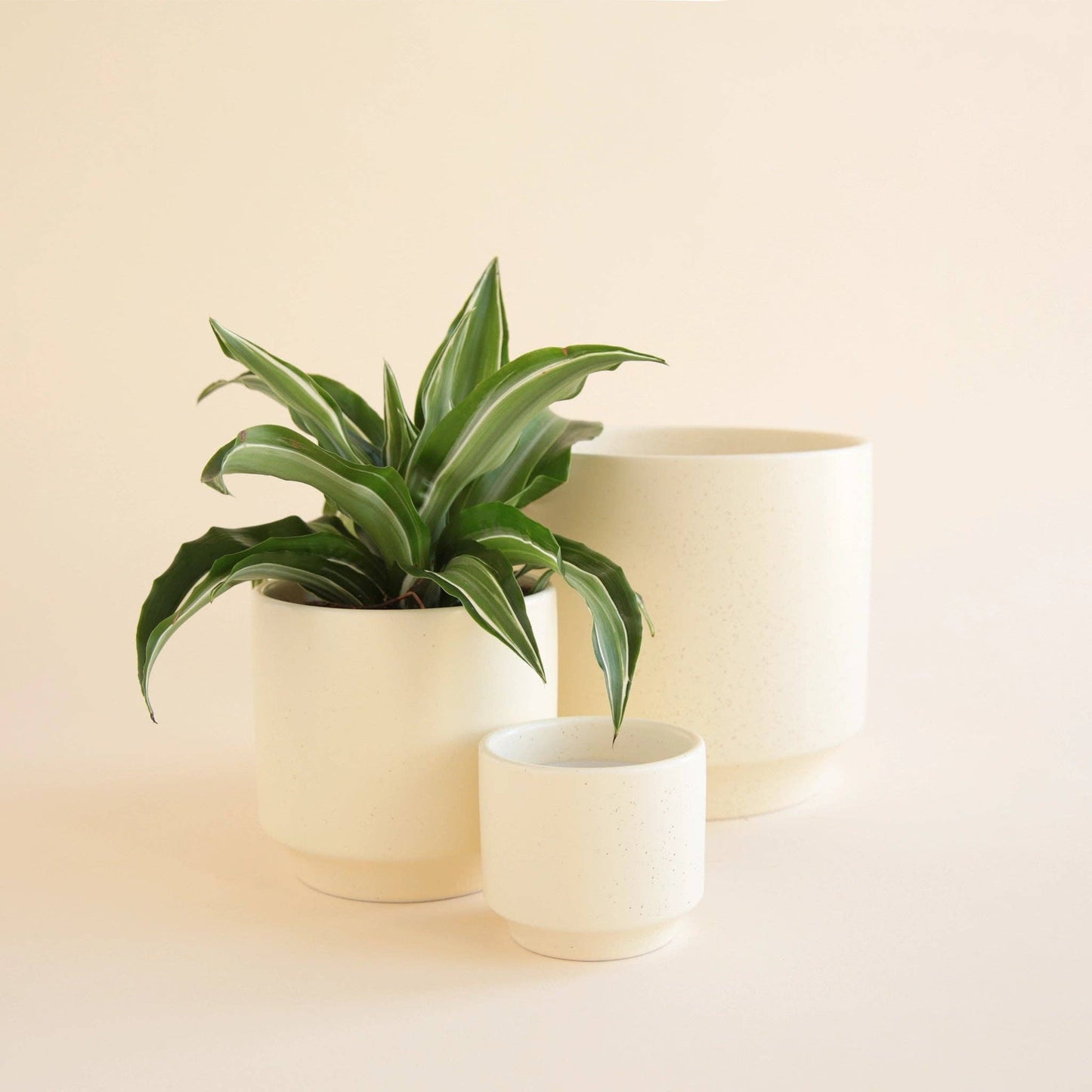 Parker Planter | Vintage White Speckle: 6.75 inch