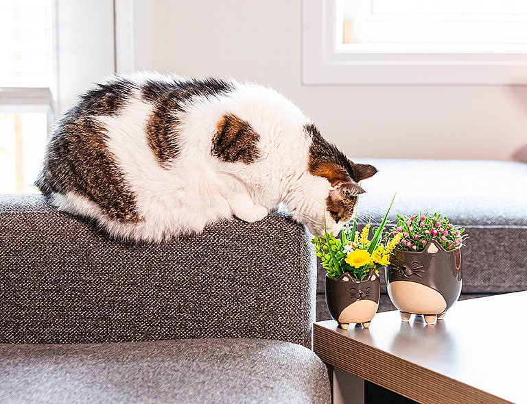 Cat on Legs Planter-Small