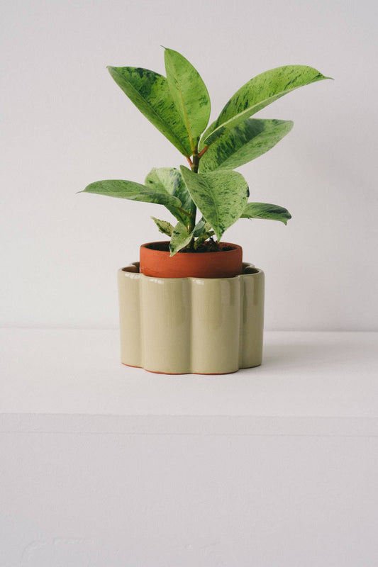Self-watering pot Paula - Sage green