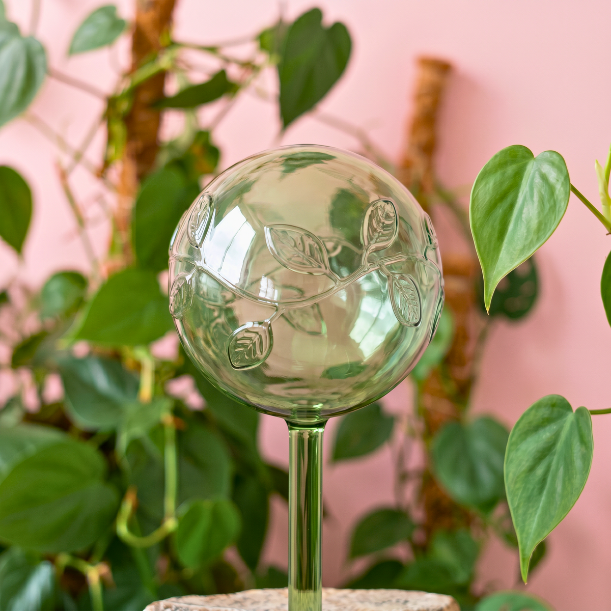 Self-Watering Globe Green Vine - Case of 6