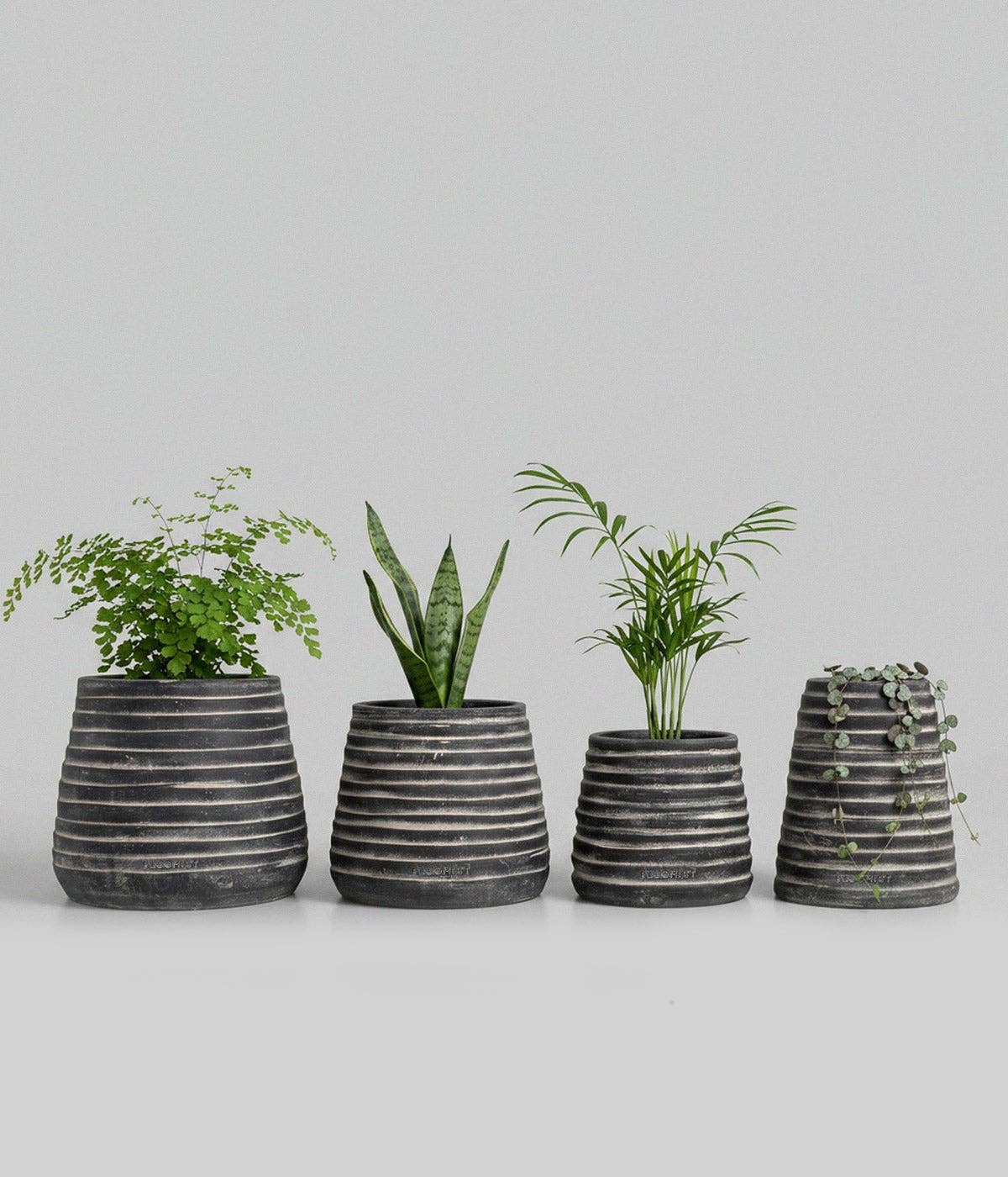 Ridge Terracotta Planter, Dark Charcoal Wash