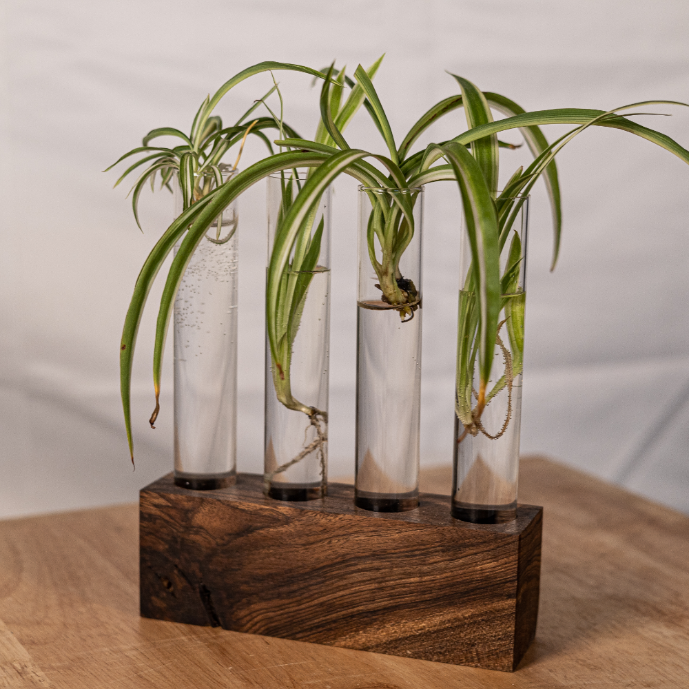 Handmade Propagation Station: Ethically Sourced Redwood