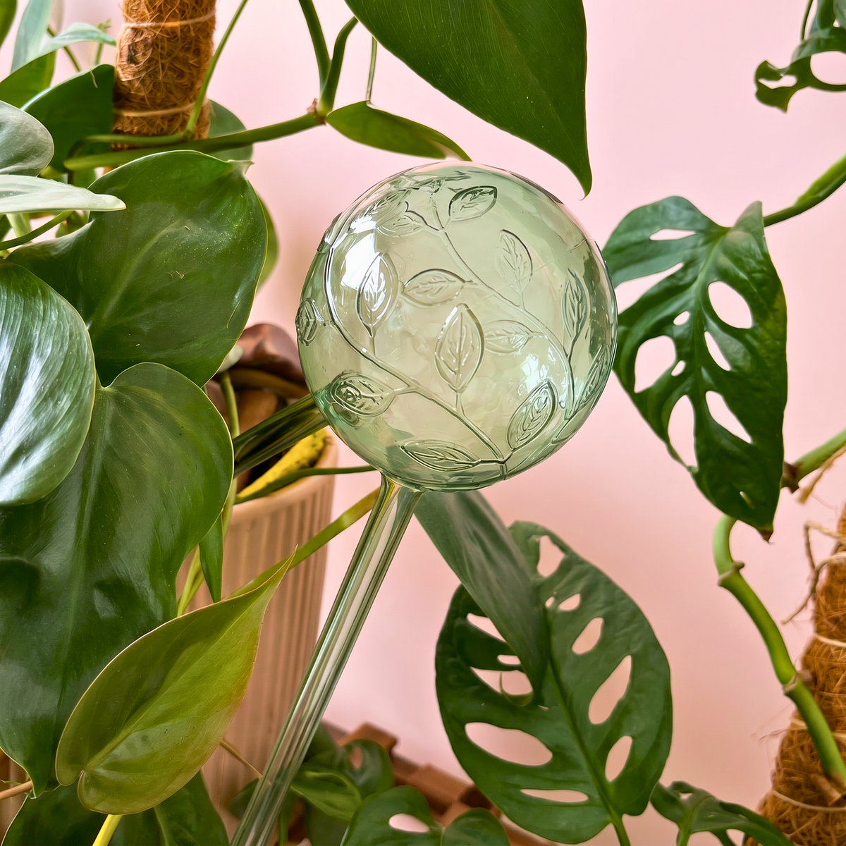 Self-Watering Globe Green Vine - Case of 6