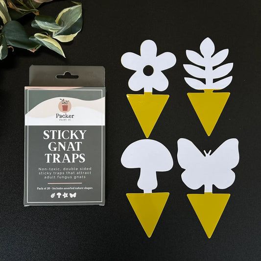Sticky Gnat Trap