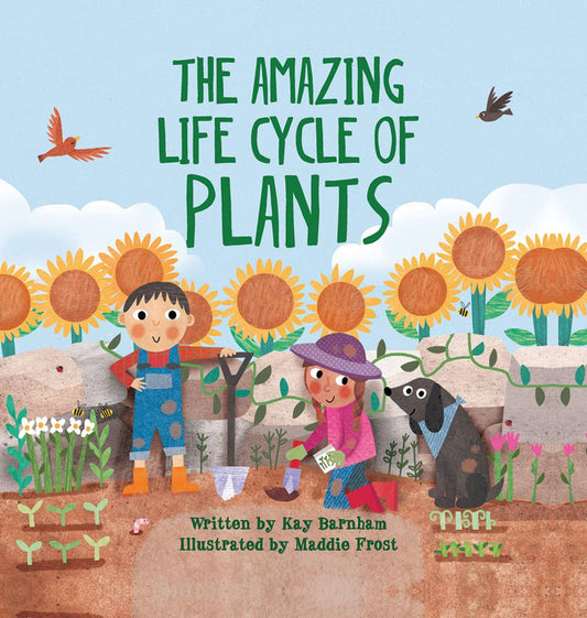 Amazing Life Cycle of Plants