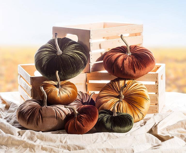 Velvet Pumpkin - 4 Assorted 10"D - Clearance