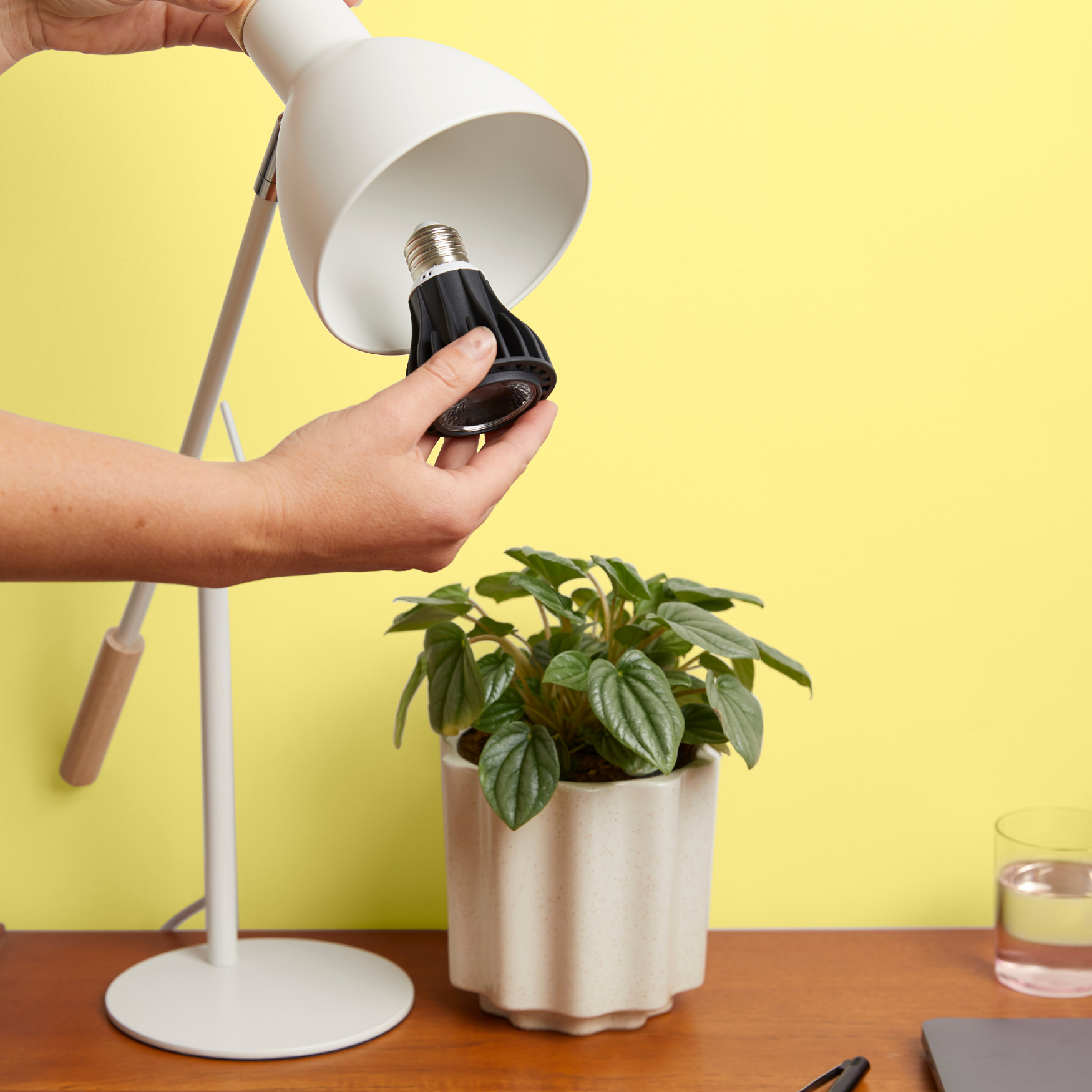 light bulb for house plants Instant Sun Grow Bulb