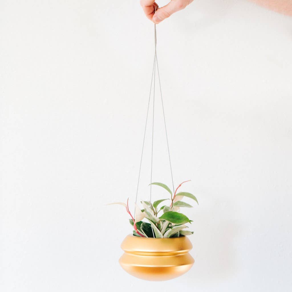 Hanging Planter
