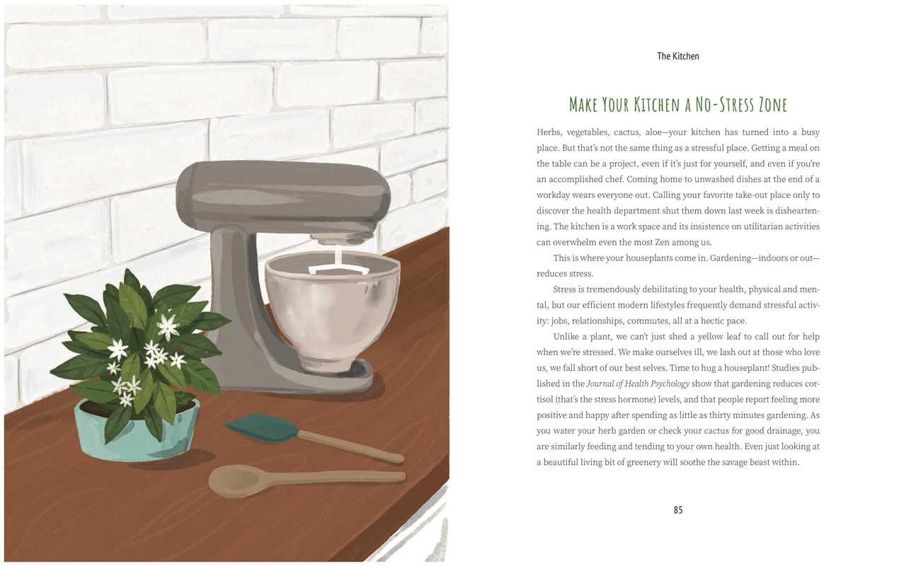 Never Put a Cactus in the Bathroom by Emily L. Hay Hinsdale