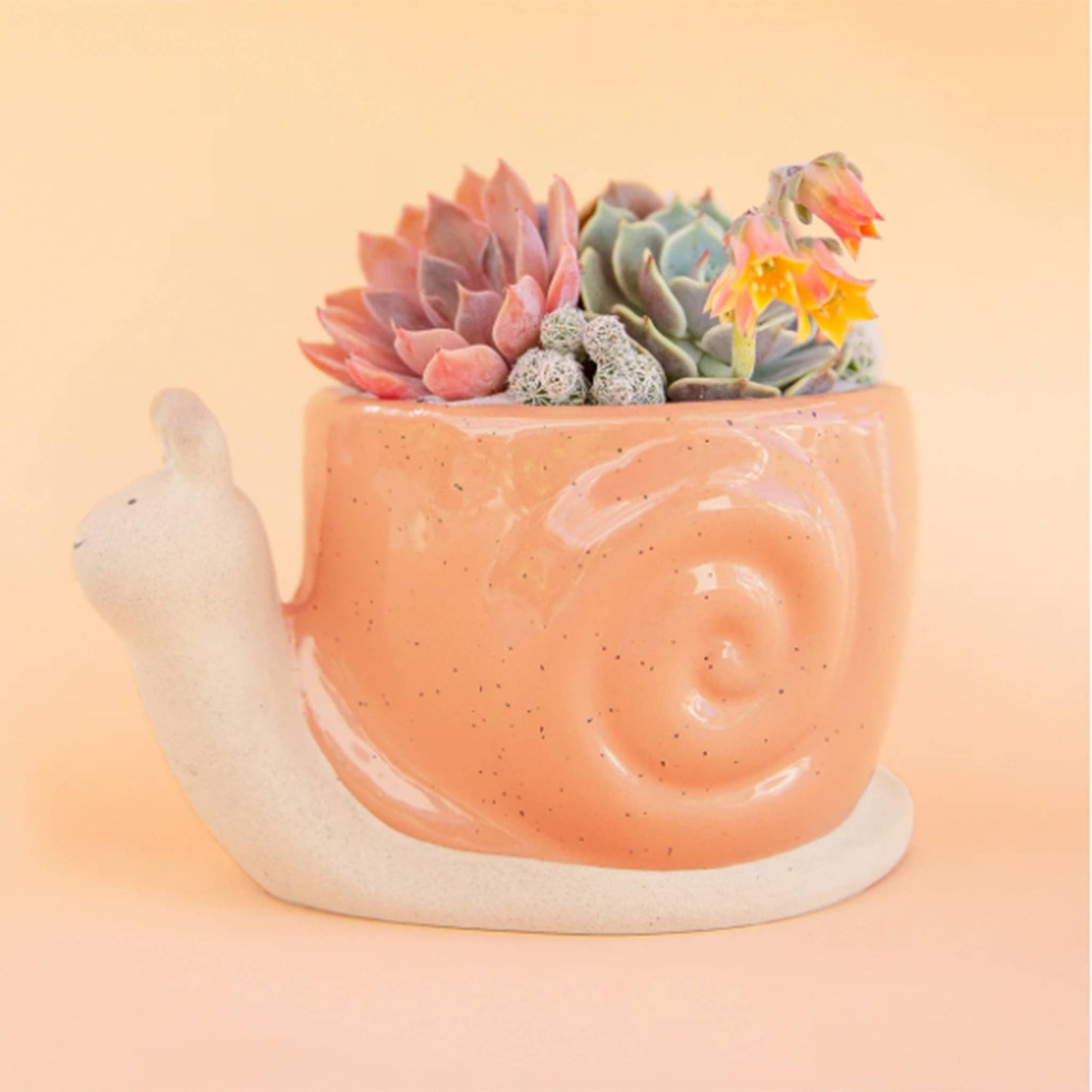 Snail Planter | Sunset: S