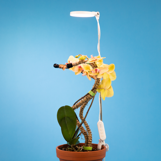 Adjustable LED Plant Light: Black