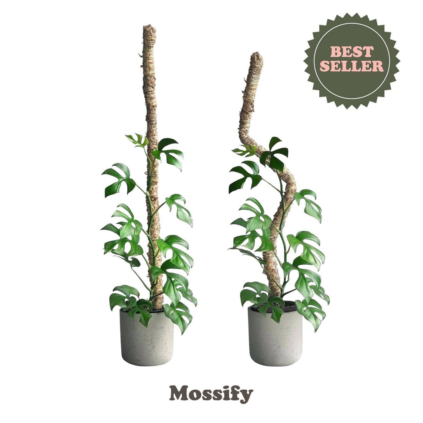 Original Bendable Moss Pole™ - Climbing Plants - Best Seller: 30" (Medium)