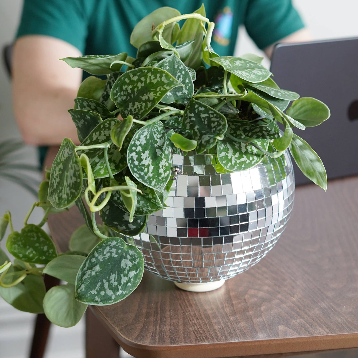 Disco Ball Hanging Planter 8-inch
