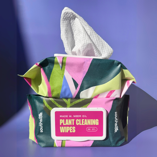 Cleaning Wipes