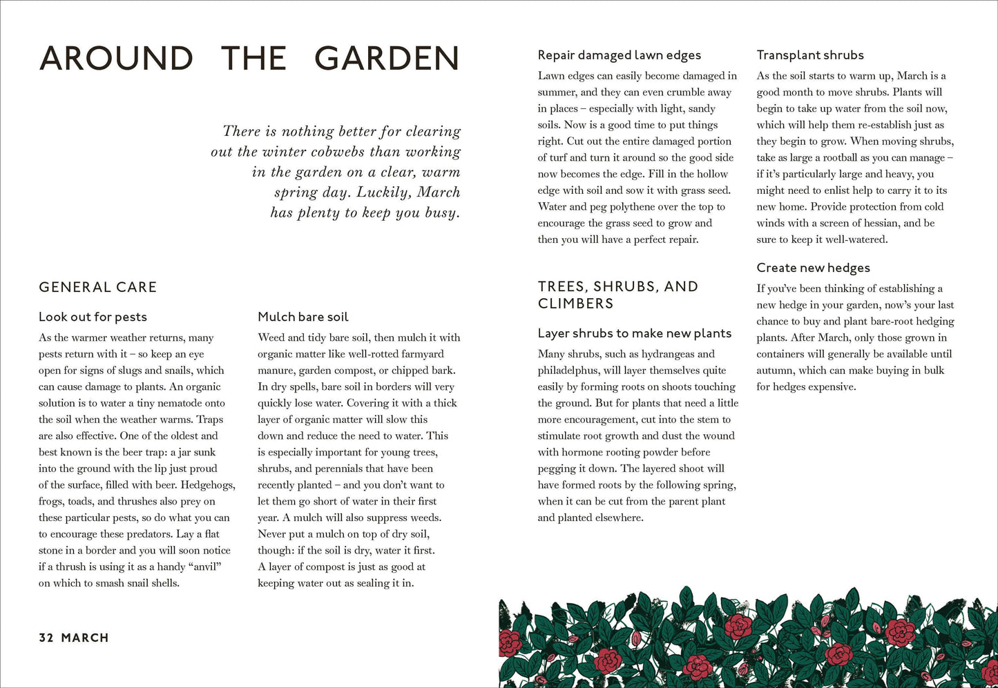 Your Gardening Year