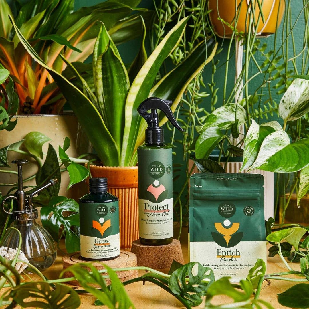 Holiday Plant Care Taster Kit