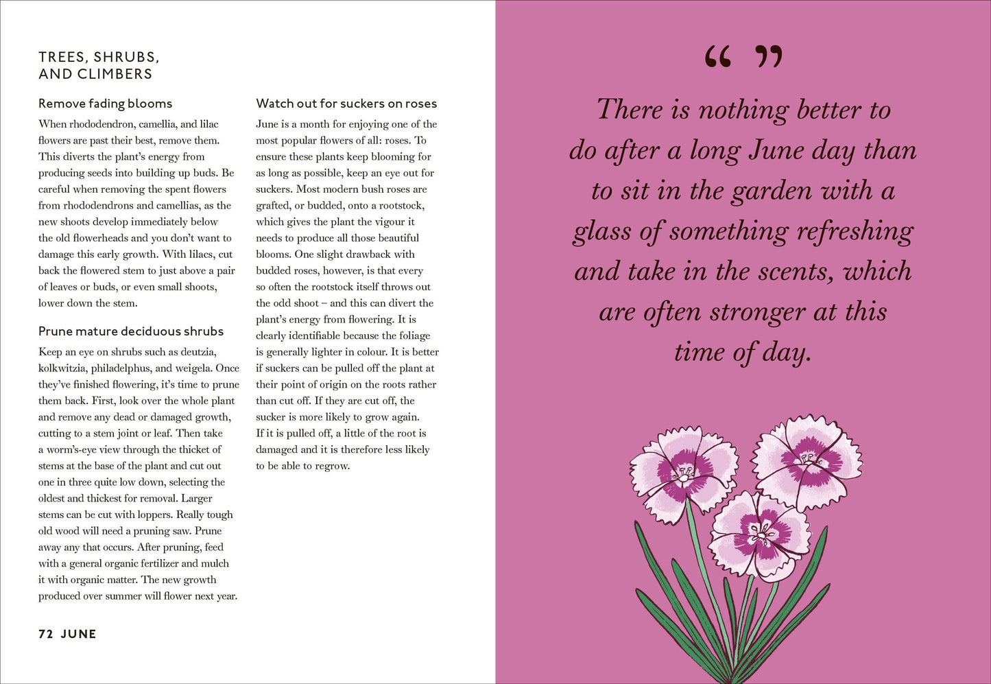 Your Gardening Year