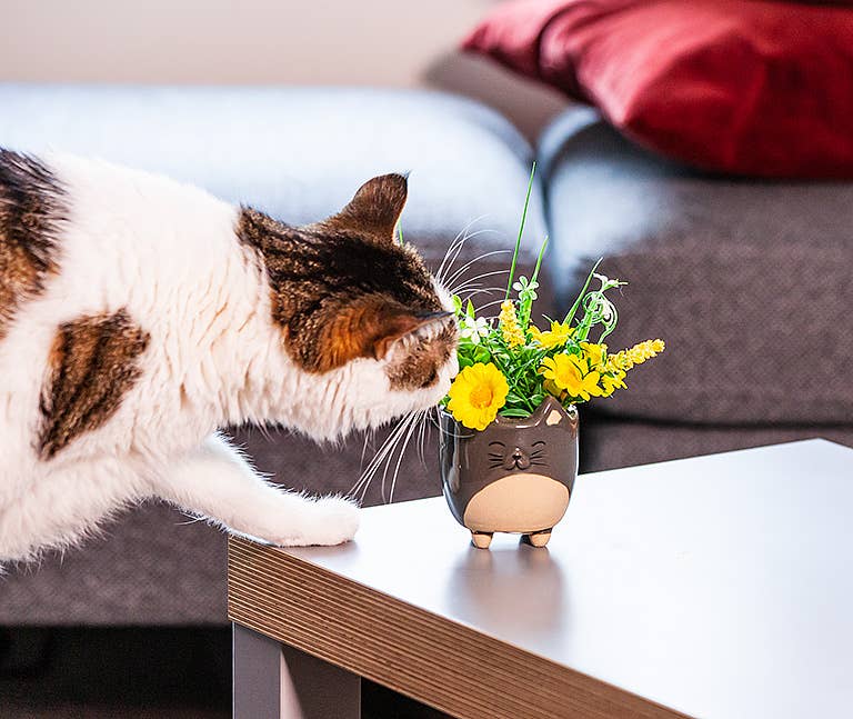 Cat on Legs Planter-Small