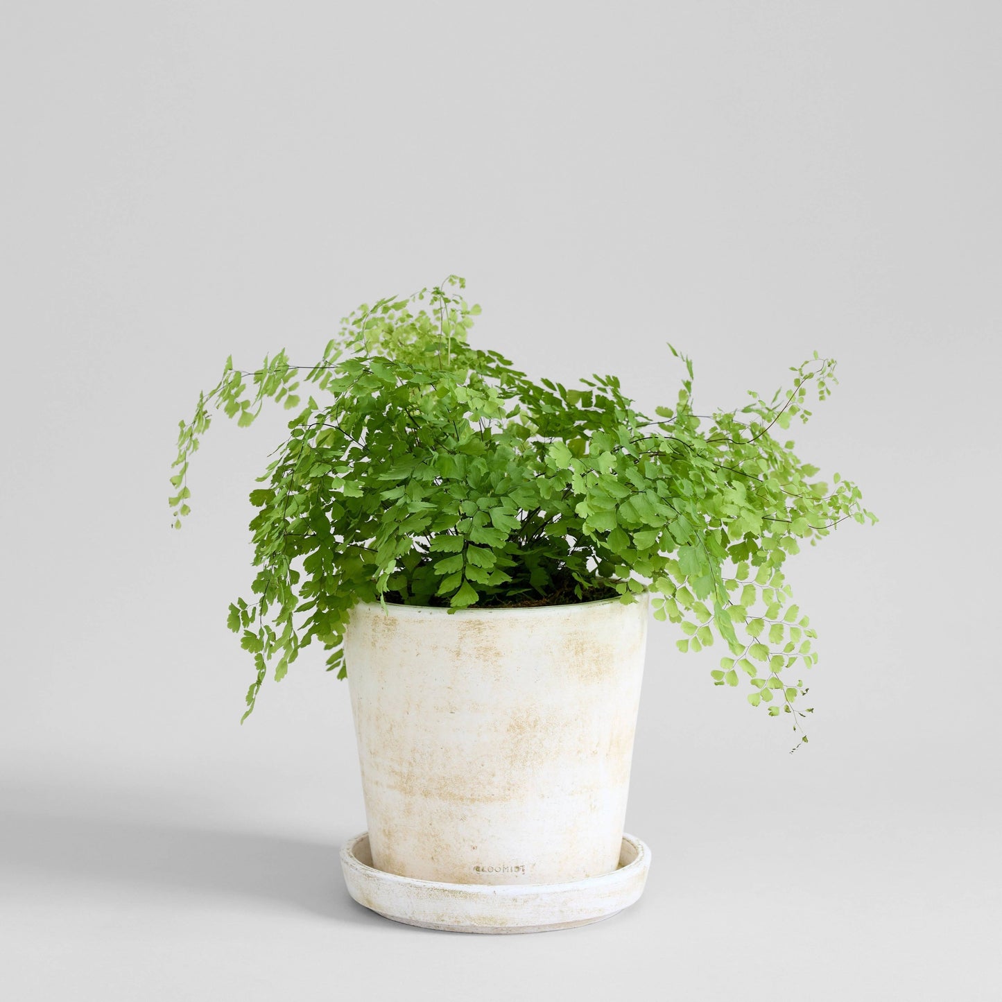 Basic Planter, White Patina: Medium