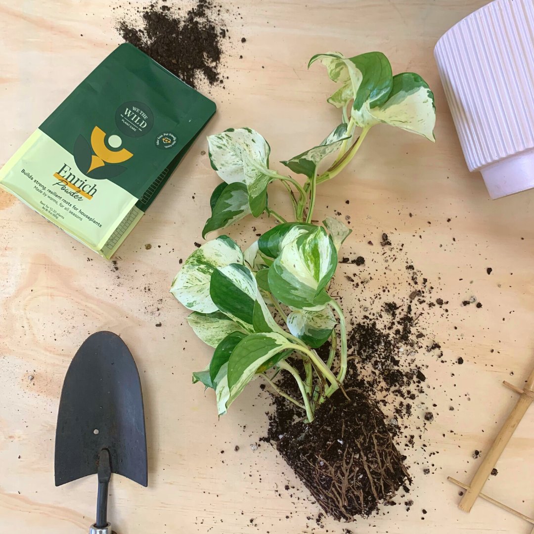Enrich Organic Plant Food