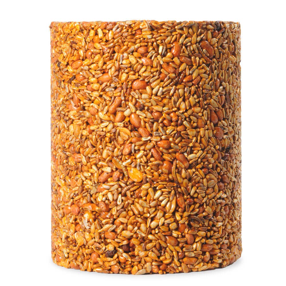 Flaming Hot Feast Cylinder - Large