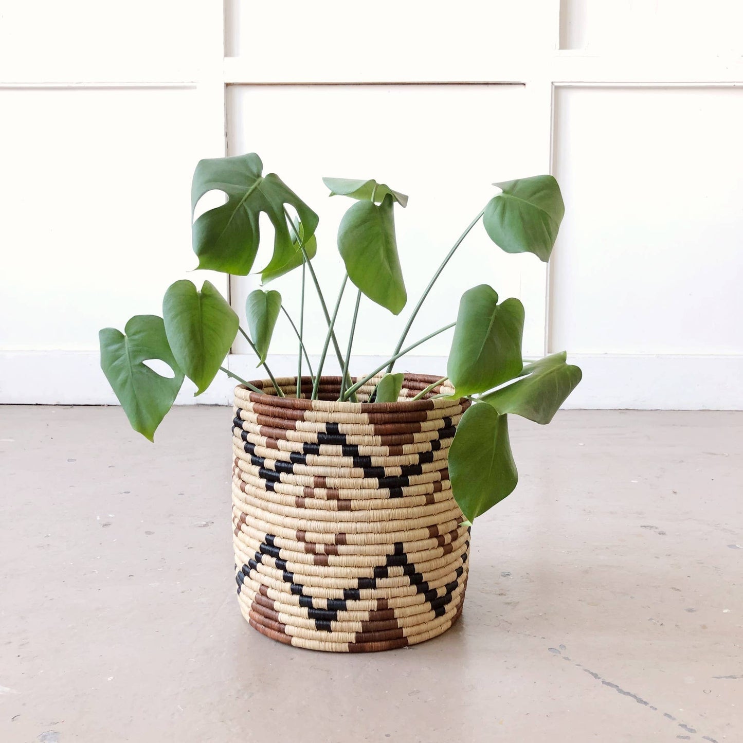 Storage Plant Basket: Ruzizi: 10" x 10"