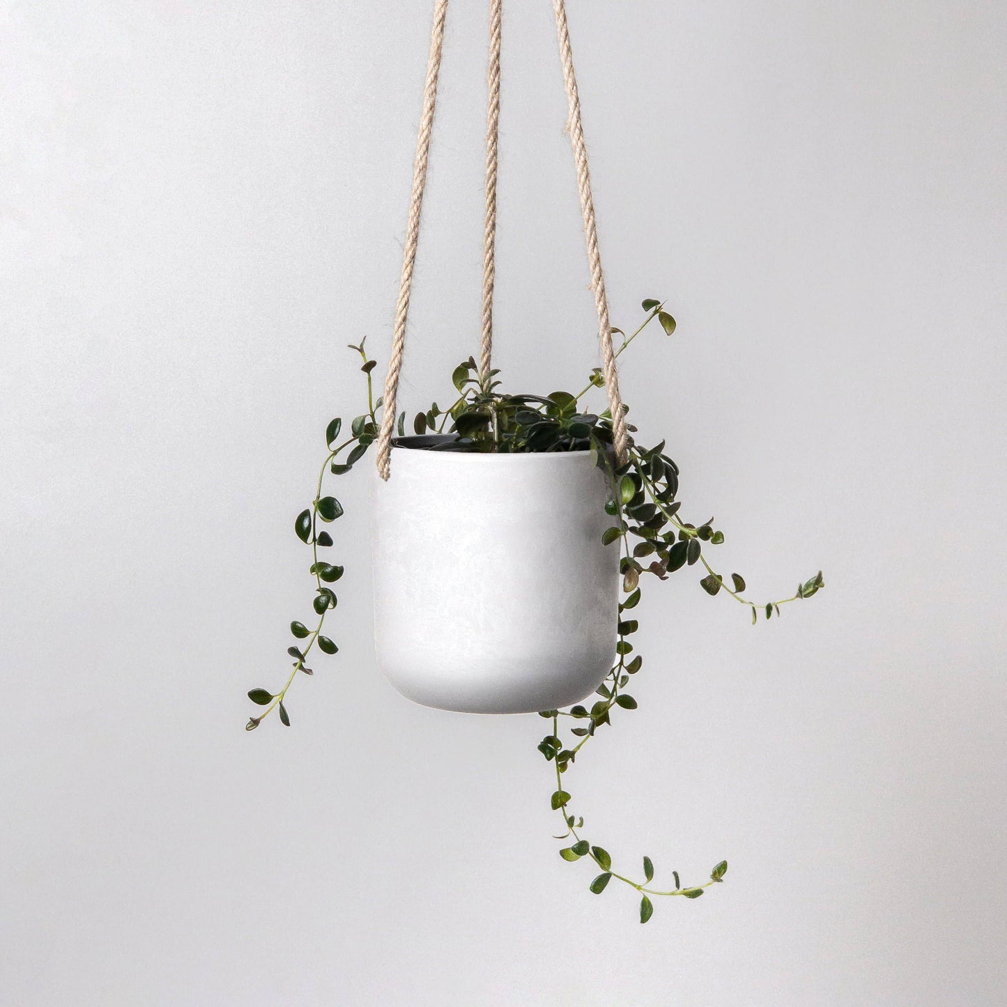 4" Signature Stone Hanging Planter Pot